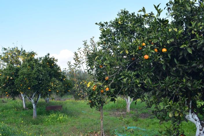 Image No.18-3 Bed Bungalow for sale