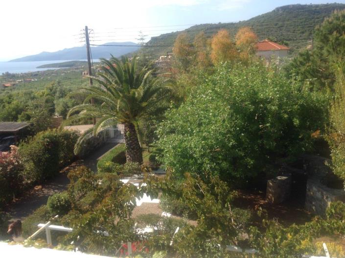 Image No.6-Hotel for sale