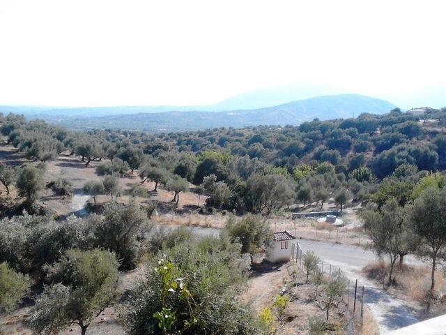 Image No.3-Village House for sale