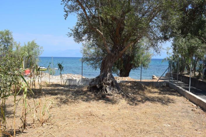 Image No.6-2 Bed Villa for sale