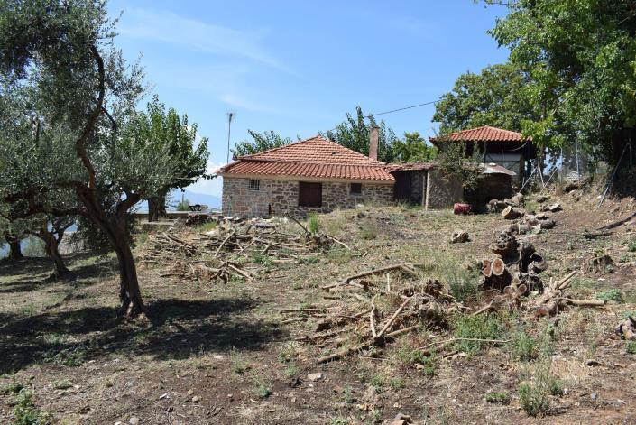 Image No.14-2 Bed Bungalow for sale