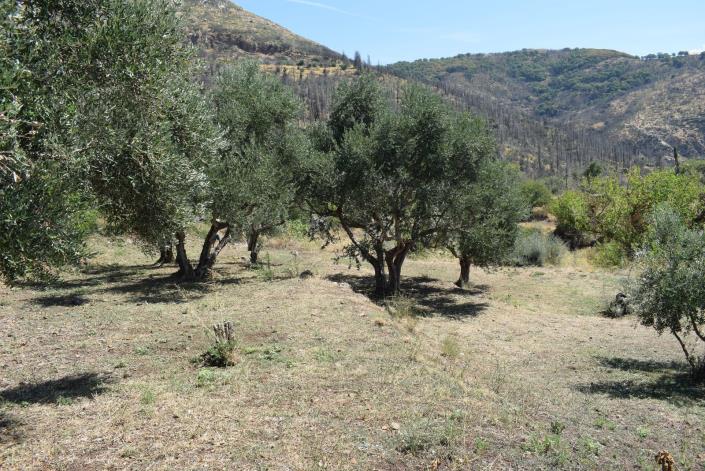 Image No.18-2 Bed Bungalow for sale