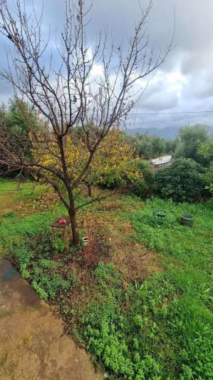 Image No.22-3 Bed Villa for sale