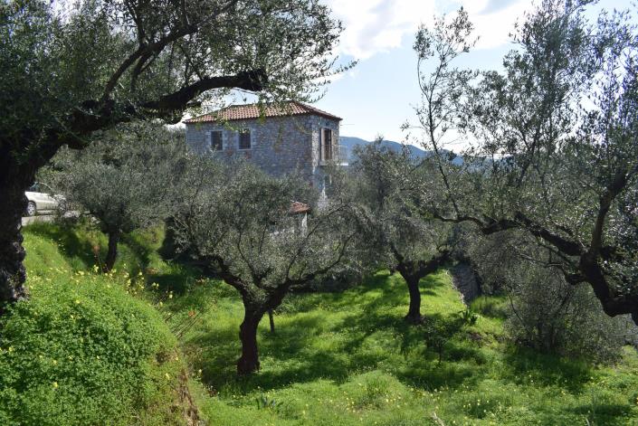 Image No.21-3 Bed Villa for sale