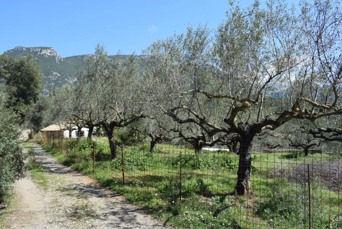 Image No.2-Bungalow for sale