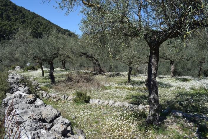 Image No.3-Bungalow for sale