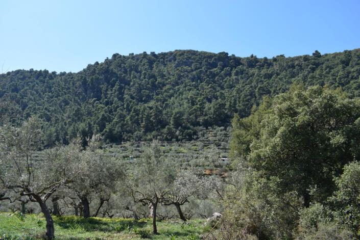 Image No.4-Bungalow for sale