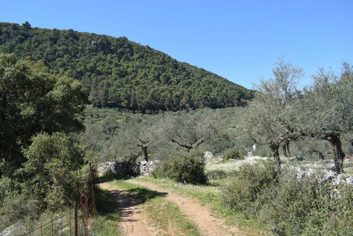 Image No.5-Bungalow for sale