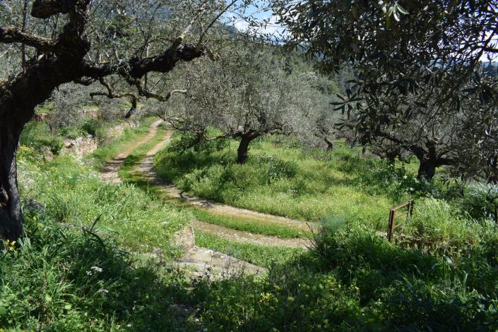 Image No.9-Bungalow for sale