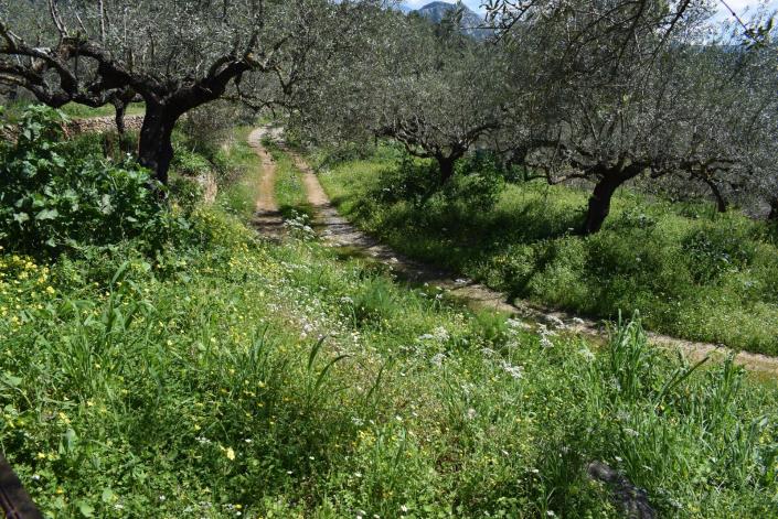 Image No.10-Bungalow for sale