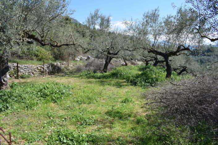 Image No.11-Bungalow for sale