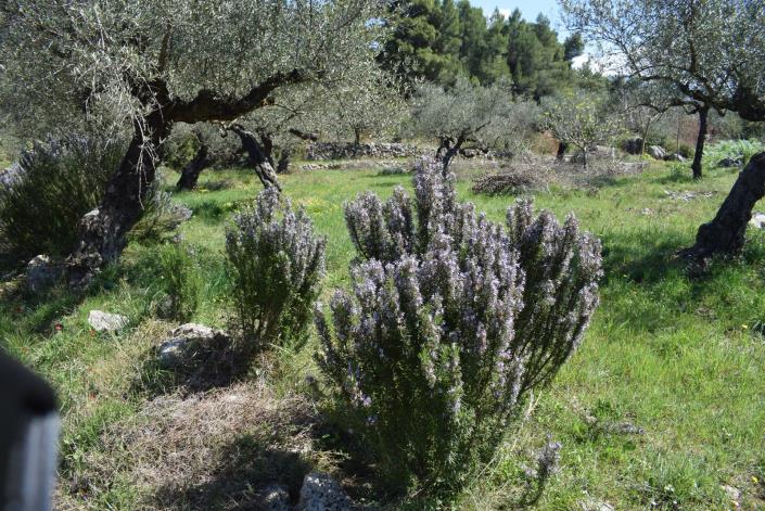 Image No.12-Bungalow for sale