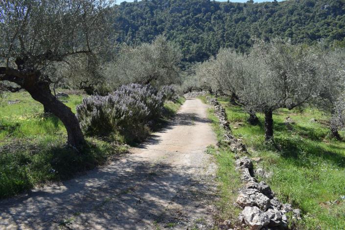 Image No.13-Bungalow for sale