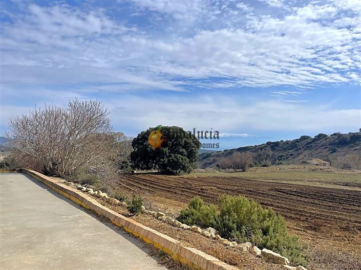 Image No.38-4 Bed Property for sale