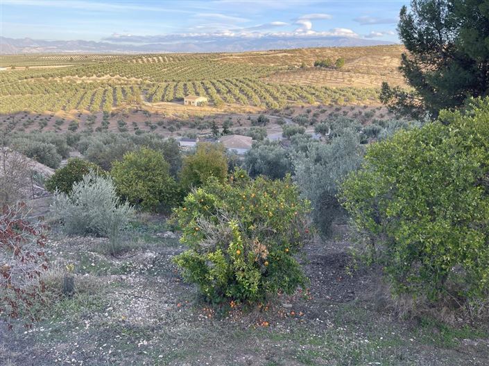 Image No.14-2 Bed Property for sale