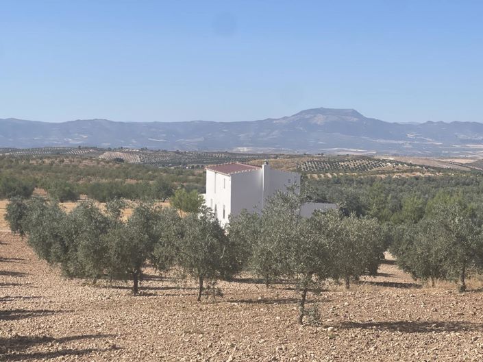 Image No.3-4 Bed Property for sale