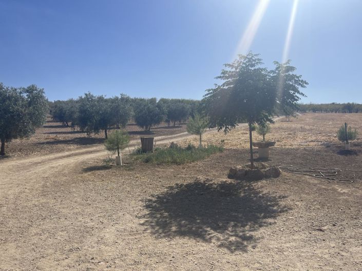 Image No.45-4 Bed Property for sale