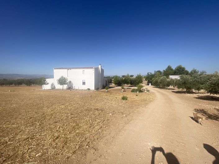 Image No.52-4 Bed Property for sale