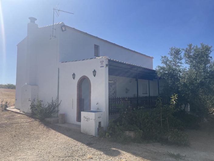 Image No.8-4 Bed Property for sale