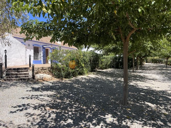 Image No.58-5 Bed Property for sale