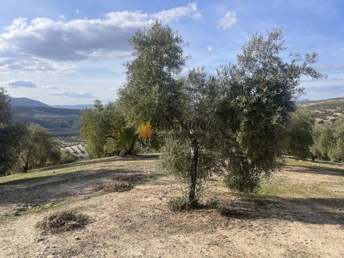 Image No.40-3 Bed Property for sale