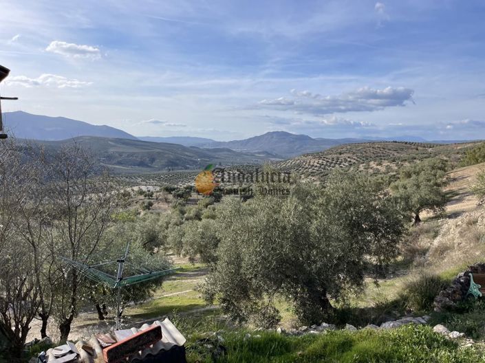 Image No.44-3 Bed Property for sale