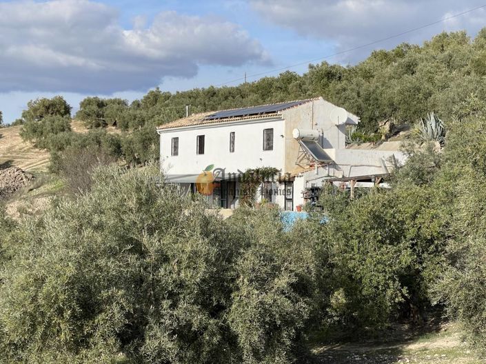 Image No.48-3 Bed Property for sale