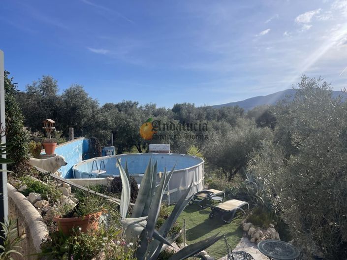 Image No.9-3 Bed Property for sale