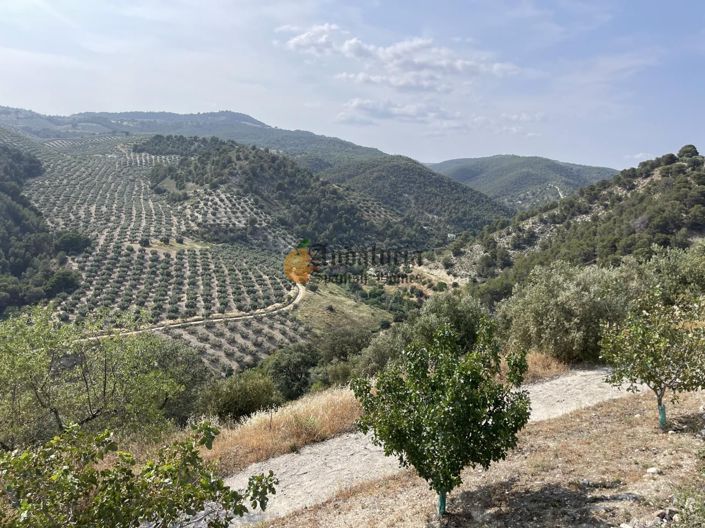 Image No.54-4 Bed Property for sale