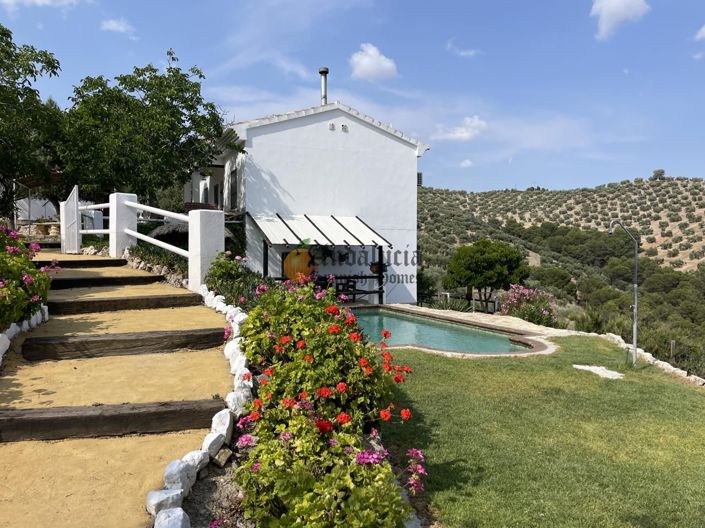 Image No.7-4 Bed Property for sale