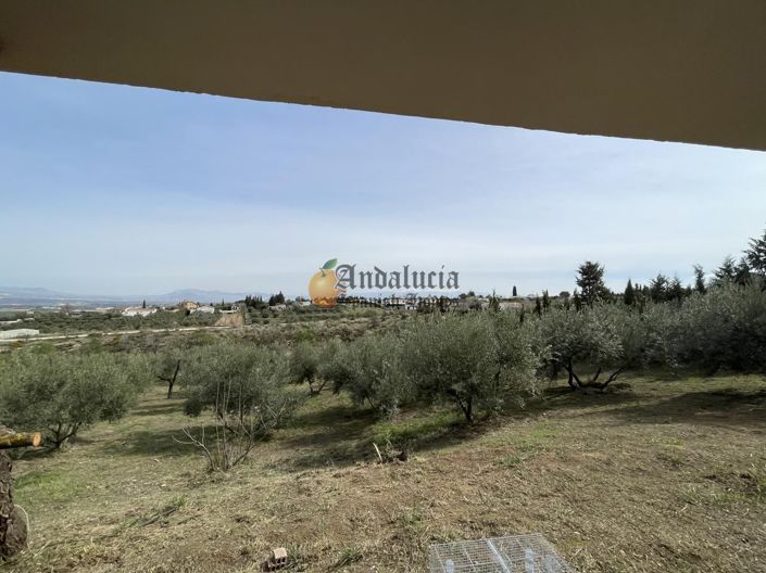 Image No.35-3 Bed Property for sale