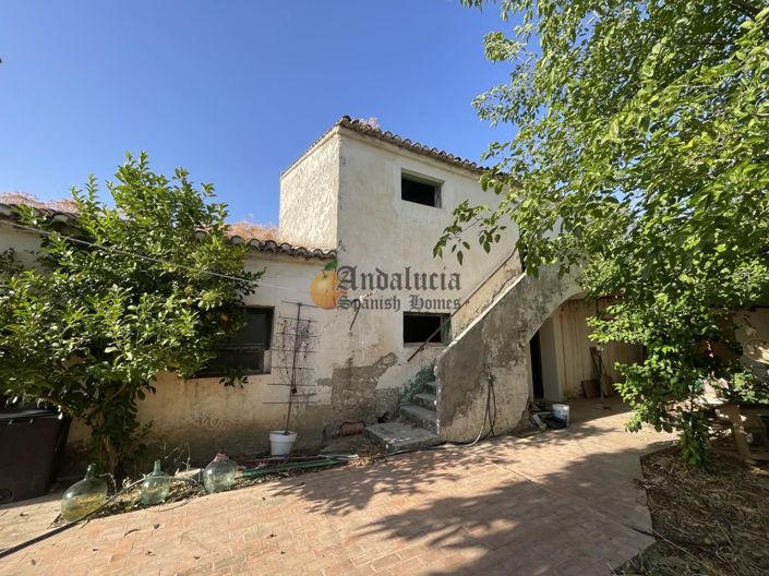 Image No.3-5 Bed Property for sale