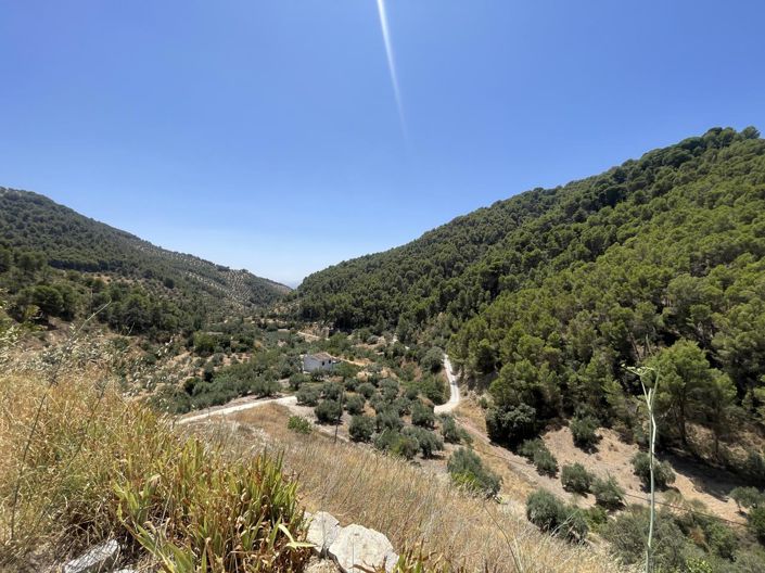 Image No.56-3 Bed Property for sale