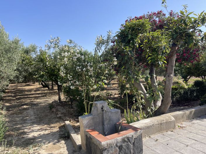 Image No.5-3 Bed Property for sale