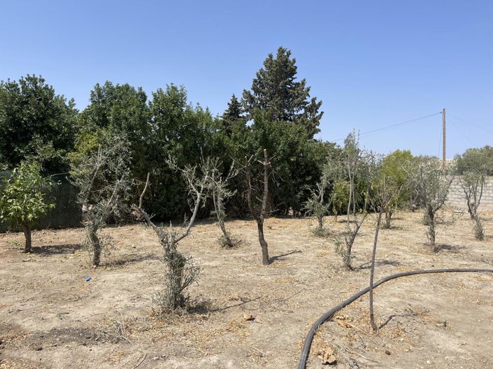 Image No.4-3 Bed Property for sale