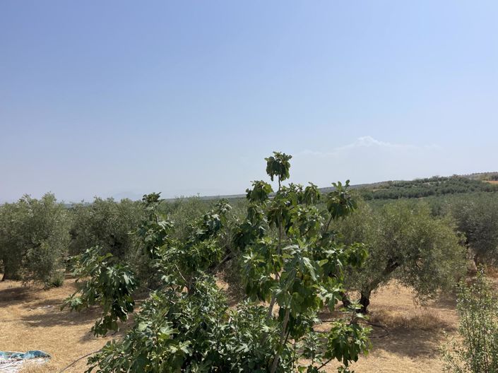 Image No.16-1 Bed Property for sale