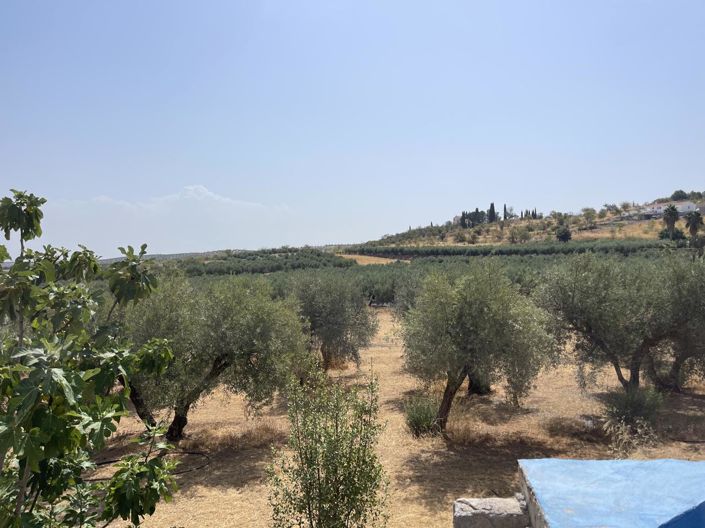 Image No.17-1 Bed Property for sale