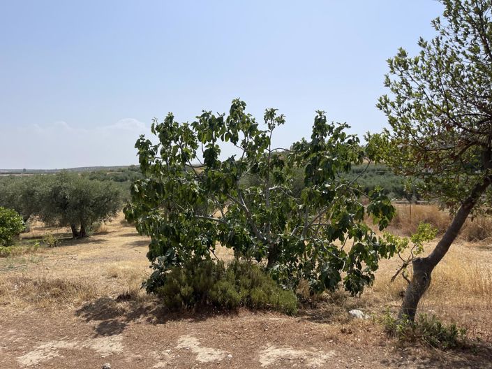 Image No.18-1 Bed Property for sale