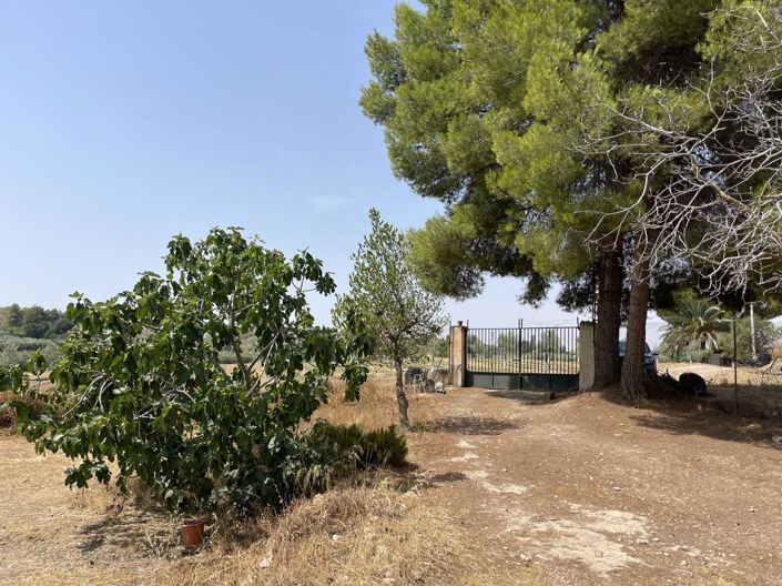 Image No.19-1 Bed Property for sale