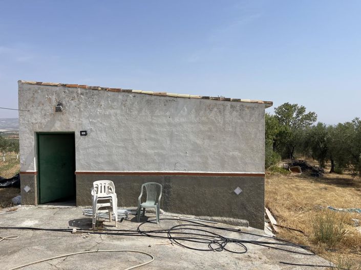 Image No.3-1 Bed Property for sale