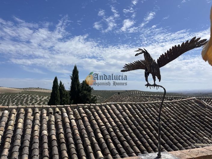 Image No.36-3 Bed Property for sale