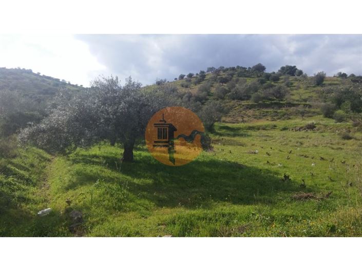 Image No.10-Plot for sale