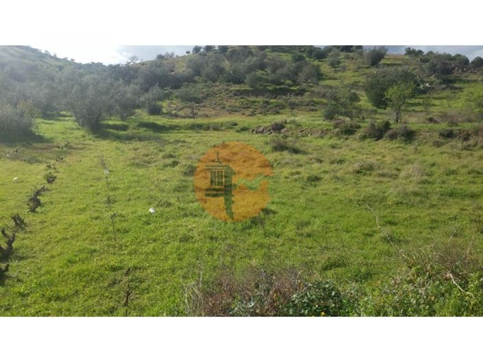 Image No.11-Plot for sale