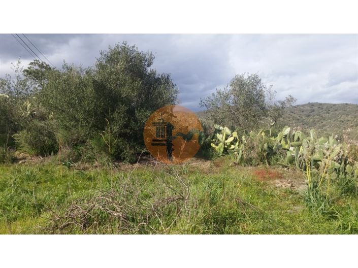 Image No.13-Plot for sale