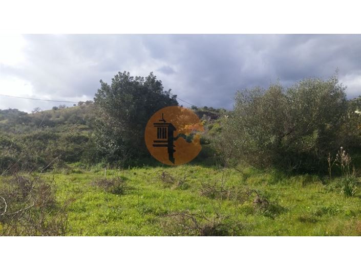 Image No.14-Plot for sale