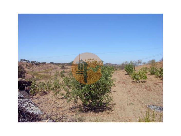 Image No.3-Plot for sale