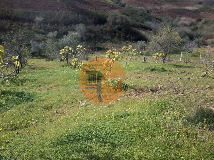 Image No.10-Plot for sale