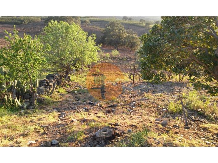 Image No.11-Plot for sale