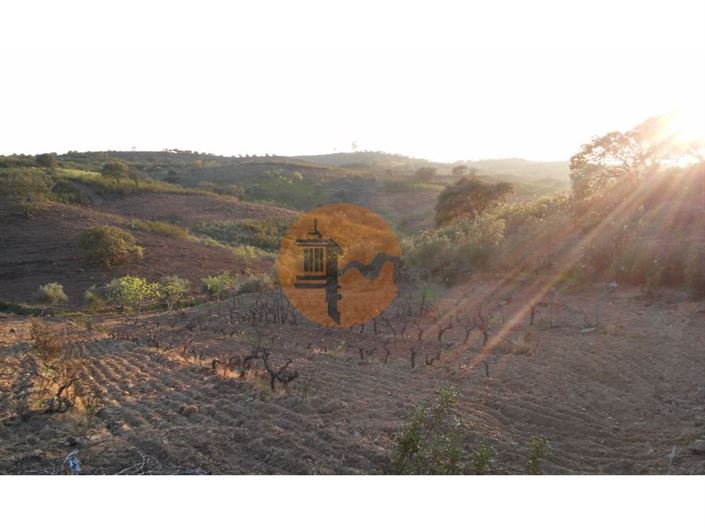 Image No.20-Plot for sale