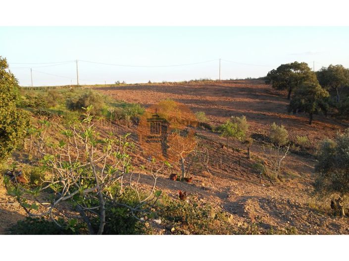 Image No.24-Plot for sale